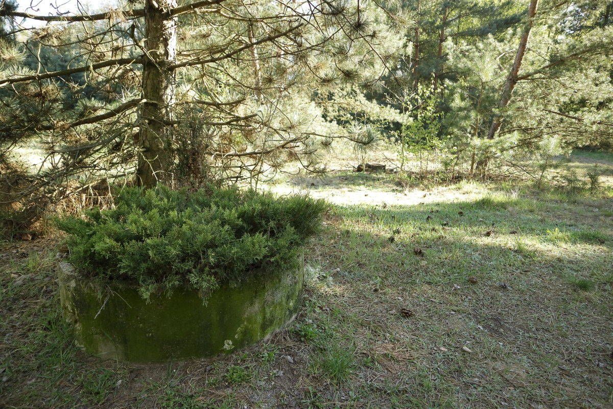 Działka budowlana Nekielka, ul. Kwiatowa. Zdjęcie 13
