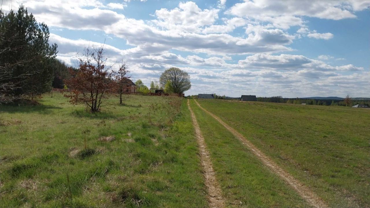 Działka rolno-budowlana Święta Katarzyna. Zdjęcie 4