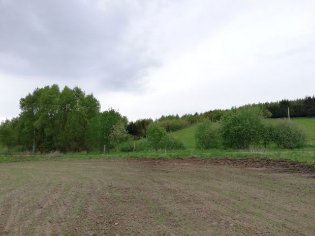 Działka rolno-budowlana Kłębowo. Zdjęcie 1