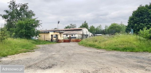 Hala/magazyn Polkowice, ul. Przemysłowa. Zdjęcie 1
