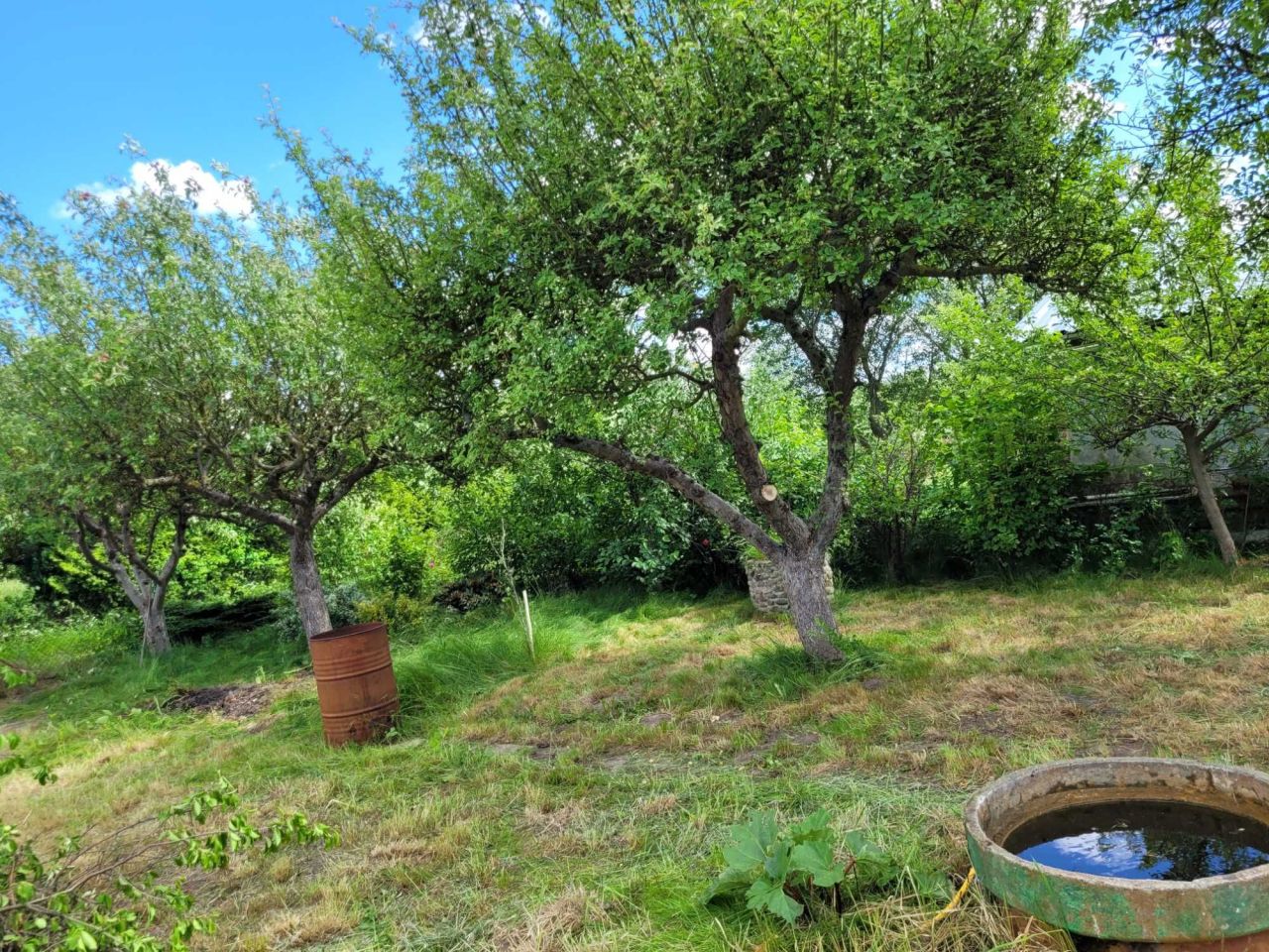 Działka rod Kamień Pomorski, ul. Kombatantów RP. Zdjęcie 5