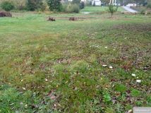 Działka budowlana Pliszczyn. Zdjęcie 1