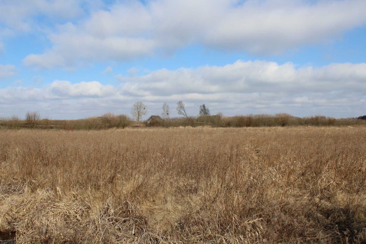 Działka rolna Kwik. Zdjęcie 7