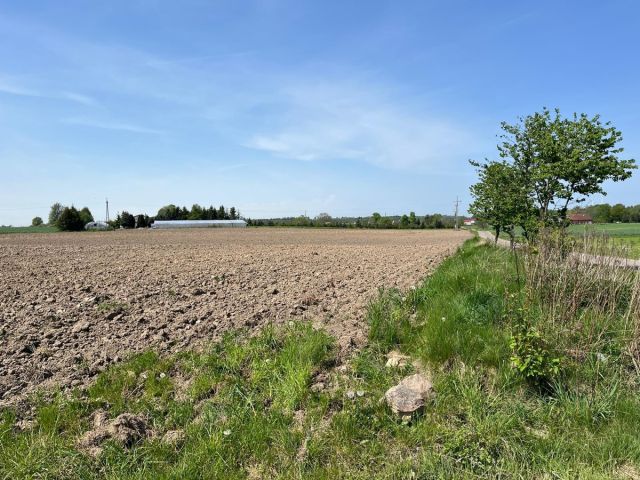 Działka budowlana Biesiekierz. Zdjęcie 1