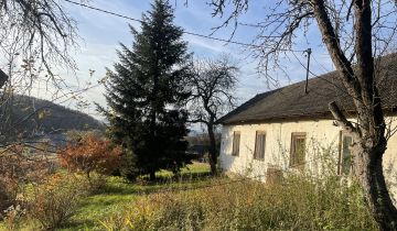 dom wolnostojący Piątkowa