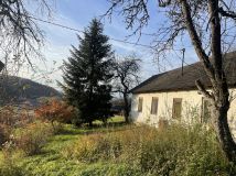 dom wolnostojący Piątkowa