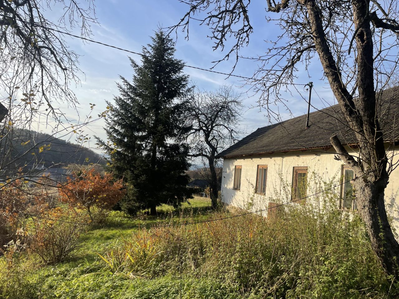 dom wolnostojący Piątkowa