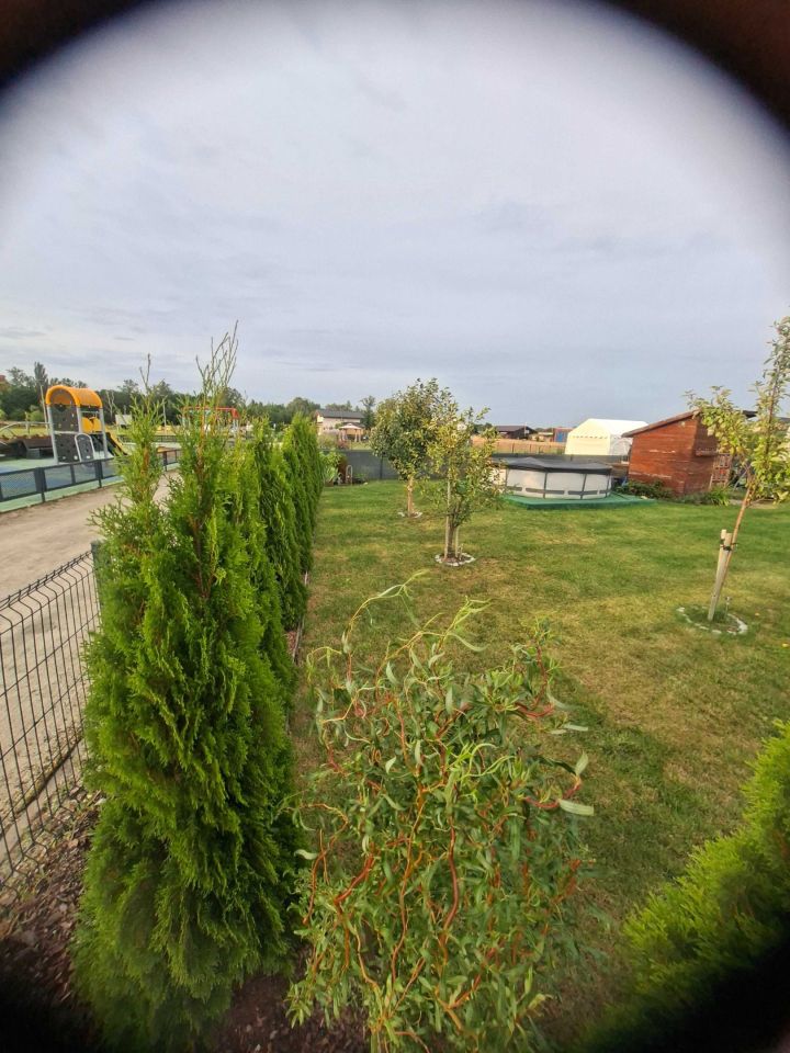 Działka rod Poznań Głuszyna. Zdjęcie 5