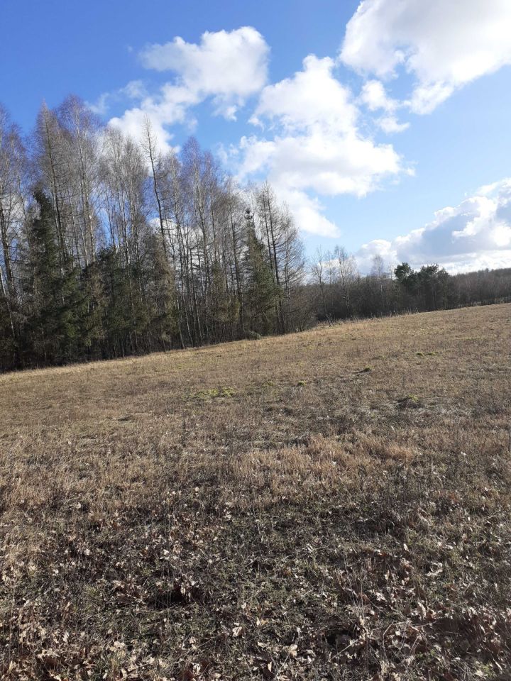 Działka rolna Dargiń. Zdjęcie 4