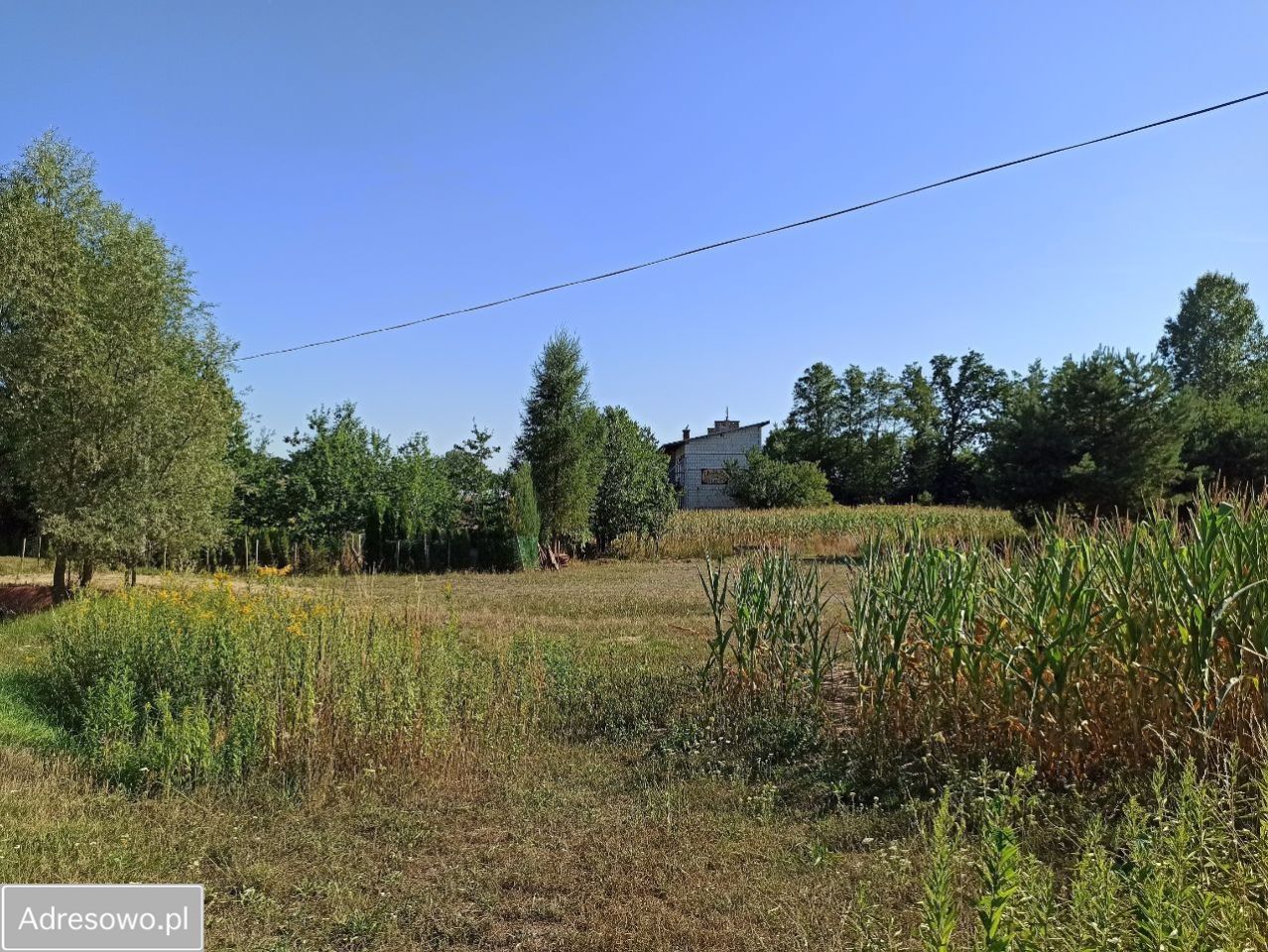 Działka budowlana Grodzisko Dolne. Zdjęcie 2