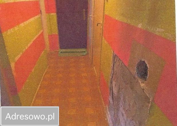 Mieszkanie 2-pokojowe Kiełpiny. Zdjęcie 2