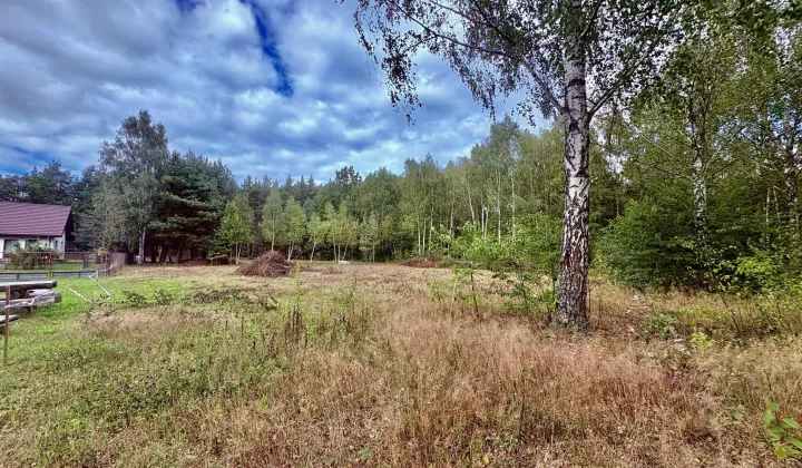 Działka budowlana Budziska