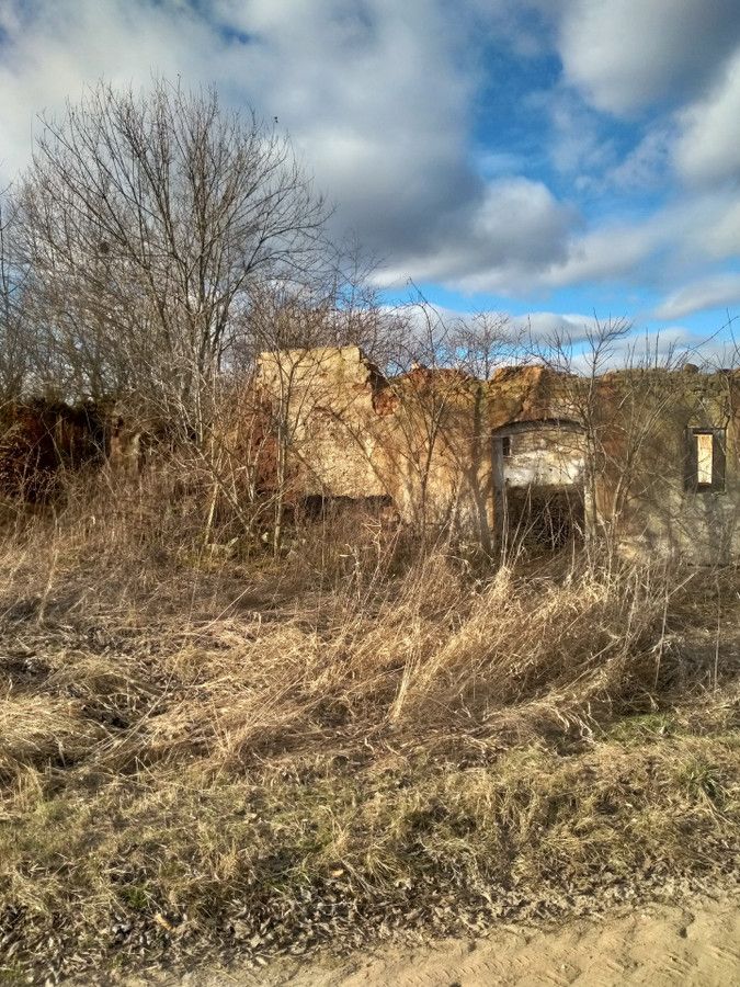 Działka budowlana Kiersnowo. Zdjęcie 2