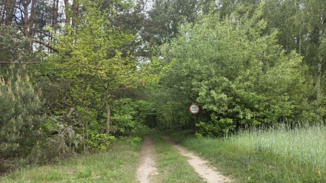 Działka leśna Kępa. Zdjęcie 3