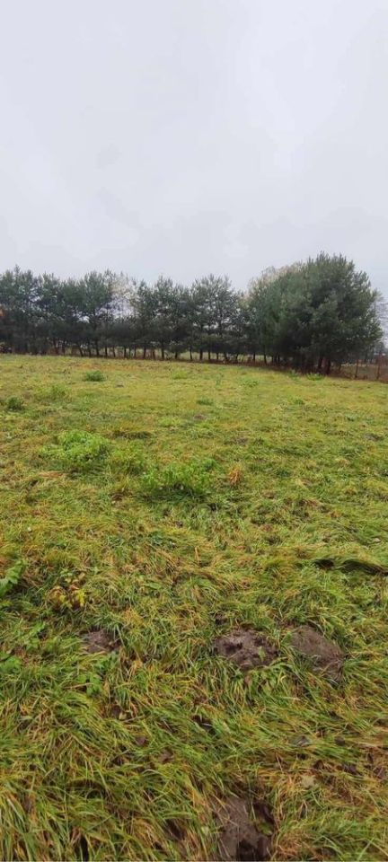 Działka budowlana Bartniki, ul. Turystyczna. Zdjęcie 3