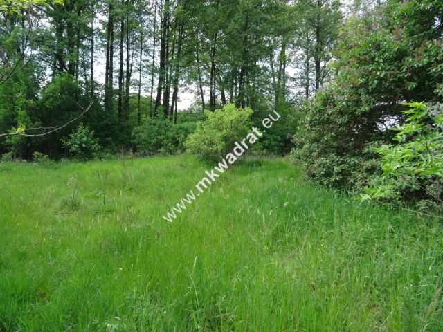 Działka budowlana Waleriany. Zdjęcie 3