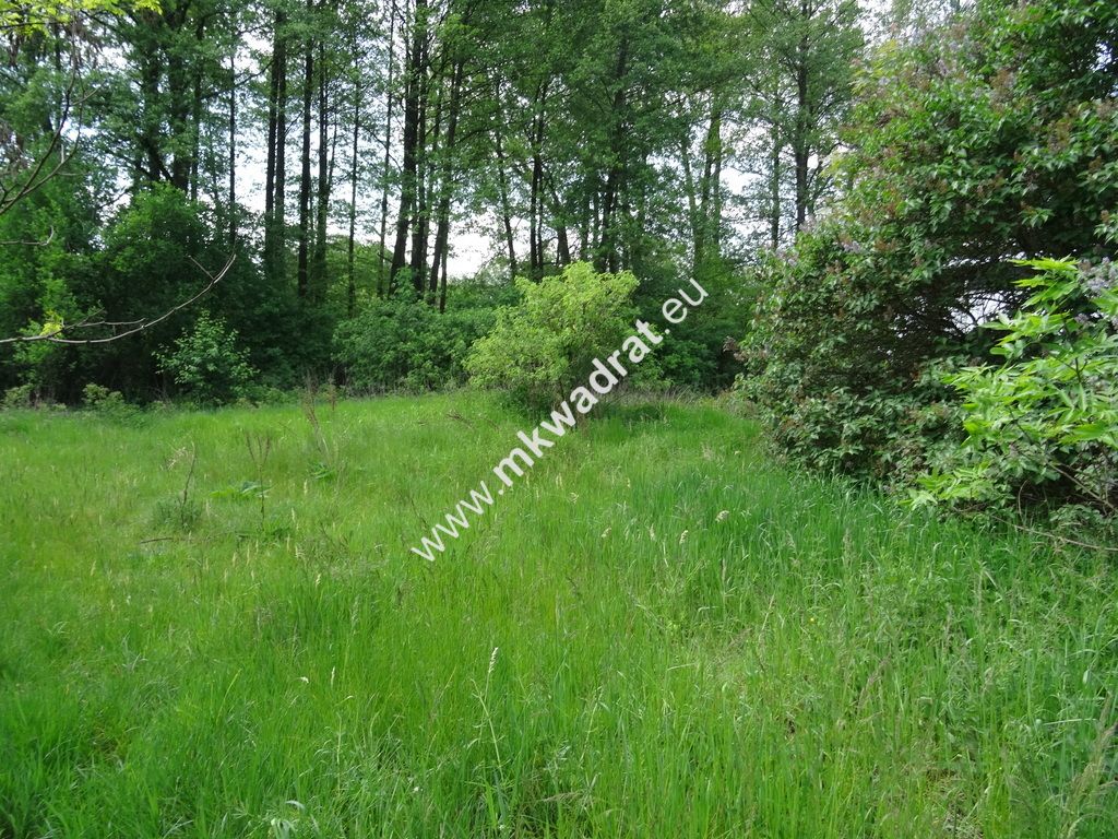 Działka budowlana Waleriany. Zdjęcie 3