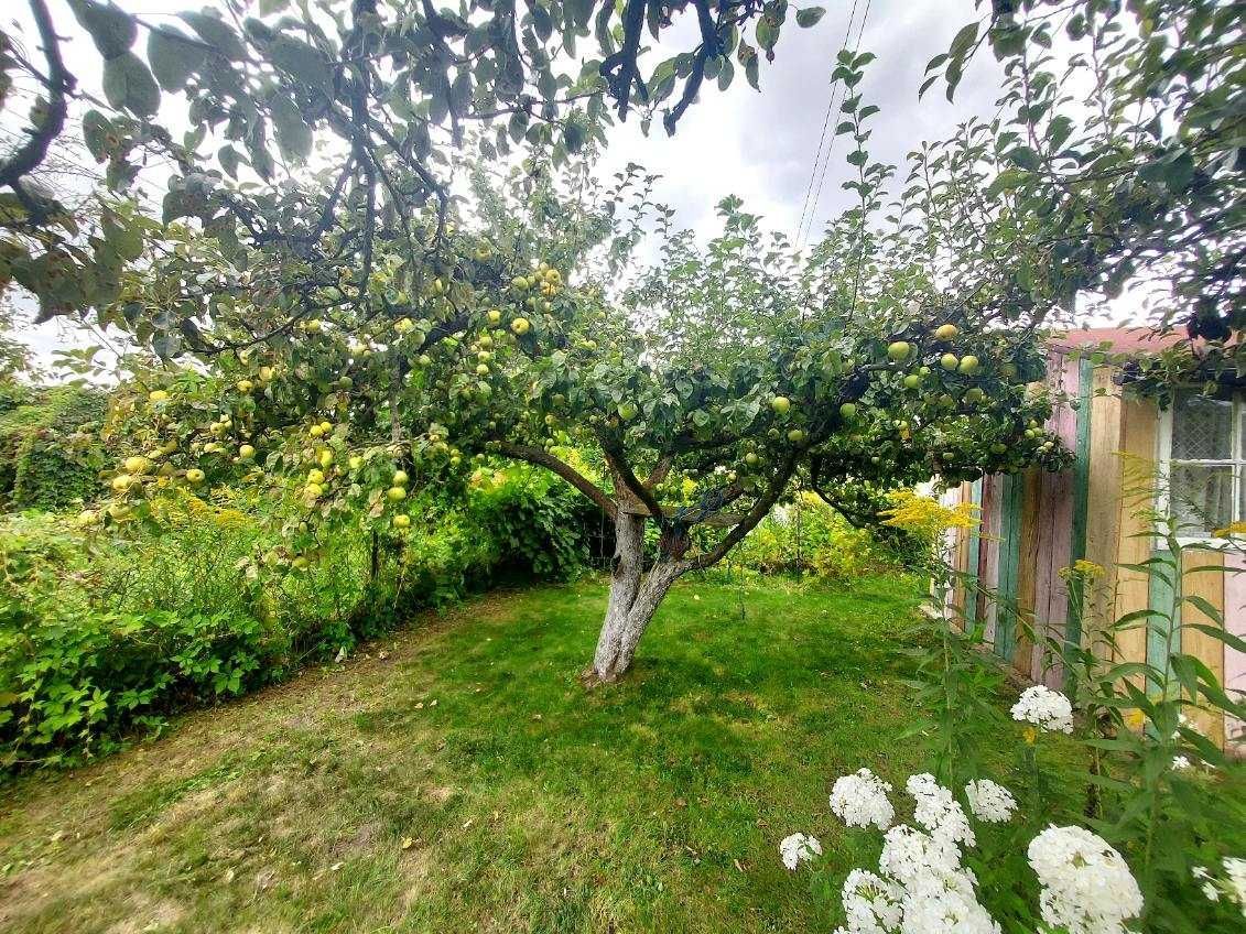 Działka rod Wrocław Fabryczna, ul. Klecińska. Zdjęcie 5