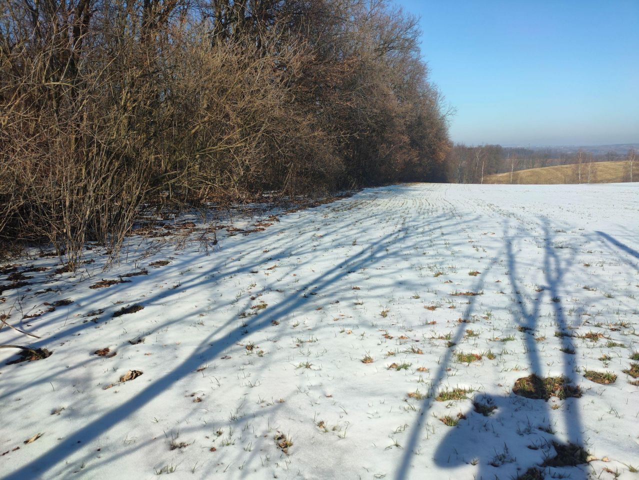 Działka budowlana Celiny. Zdjęcie 23