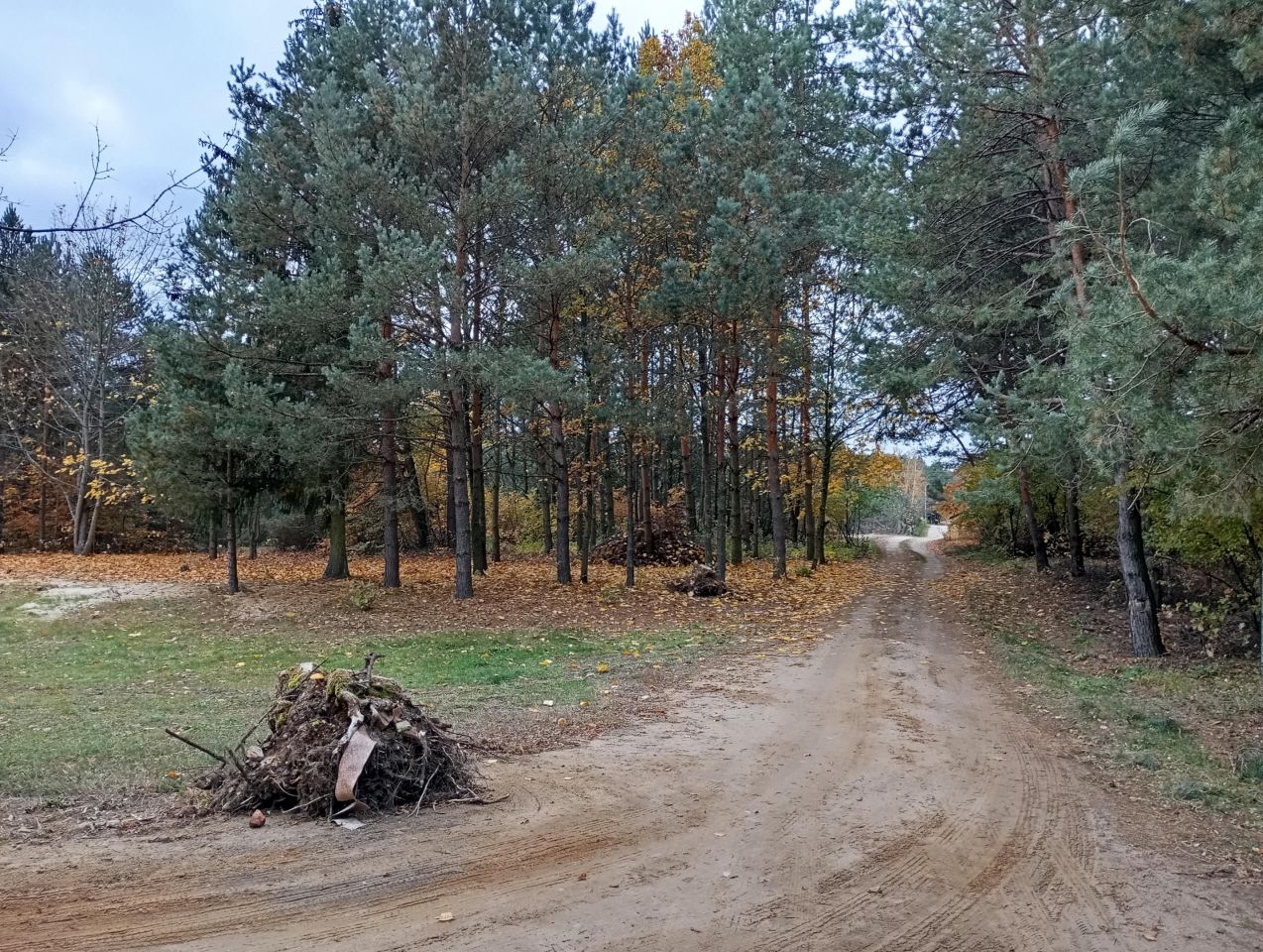 Działka rekreacyjna Ostrykół Dworski, ul. Letniskowa. Zdjęcie 3