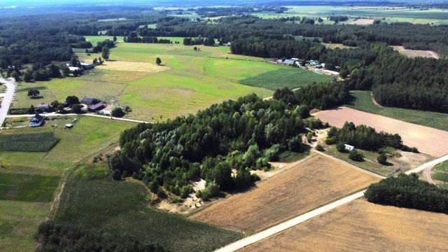 Działka siedliskowa Pełty. Zdjęcie 5