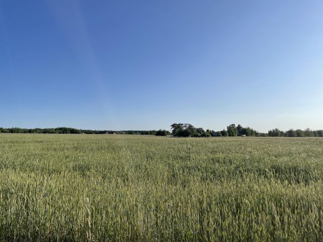 Działka inwestycyjna Prusice, ul. Polna. Zdjęcie 8