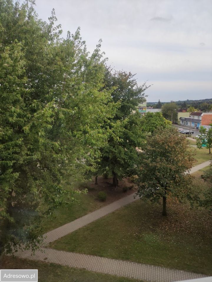 Mieszkanie 1-pokojowe Oborniki, ul. Armii Krajowej. Zdjęcie 5