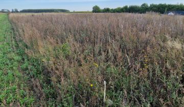 Działka budowlana Łysomice, ul. Długa