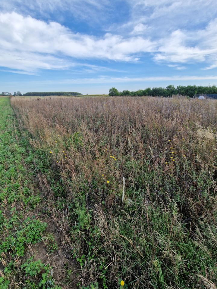 Działka budowlana Łysomice, ul. Długa. Zdjęcie 2