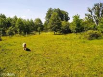 Działka budowlana Gostyń, Czereśniowa. Zdjęcie 3