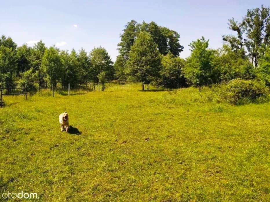 Działka budowlana Gostyń, Czereśniowa. Zdjęcie 4