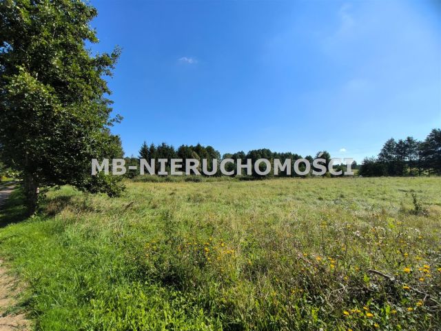 Działka rolna Wipsowo. Zdjęcie 4