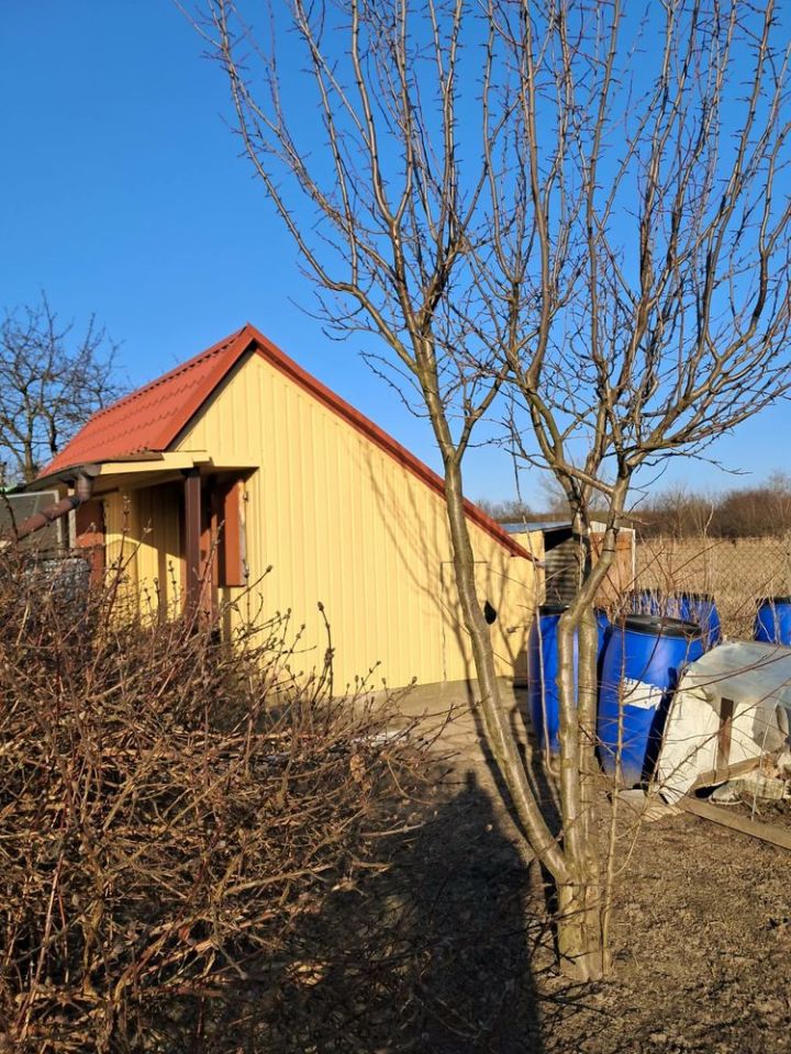 Działka rod Ostrzeszów, ul. Ceglarska. Zdjęcie 2