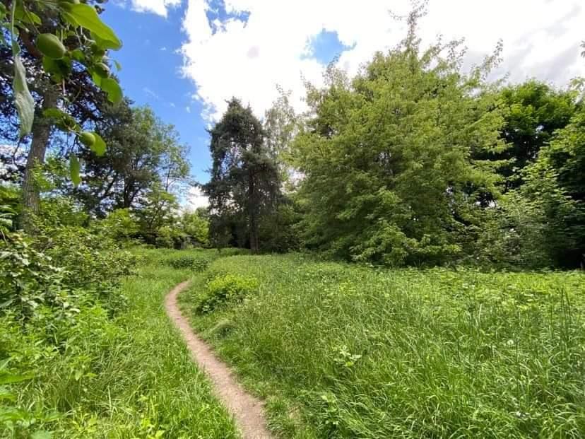Działka budowlana Głowno Swoboda, ul. Swoboda. Zdjęcie 6