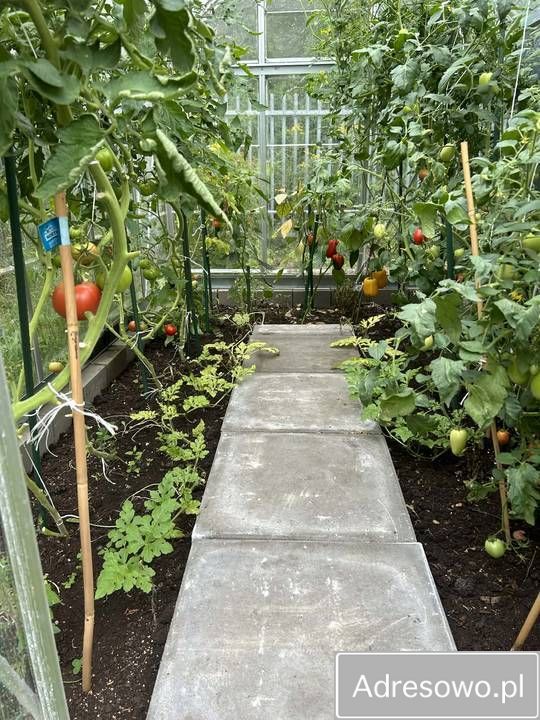 dom letniskowy Kajetany. Zdjęcie 8