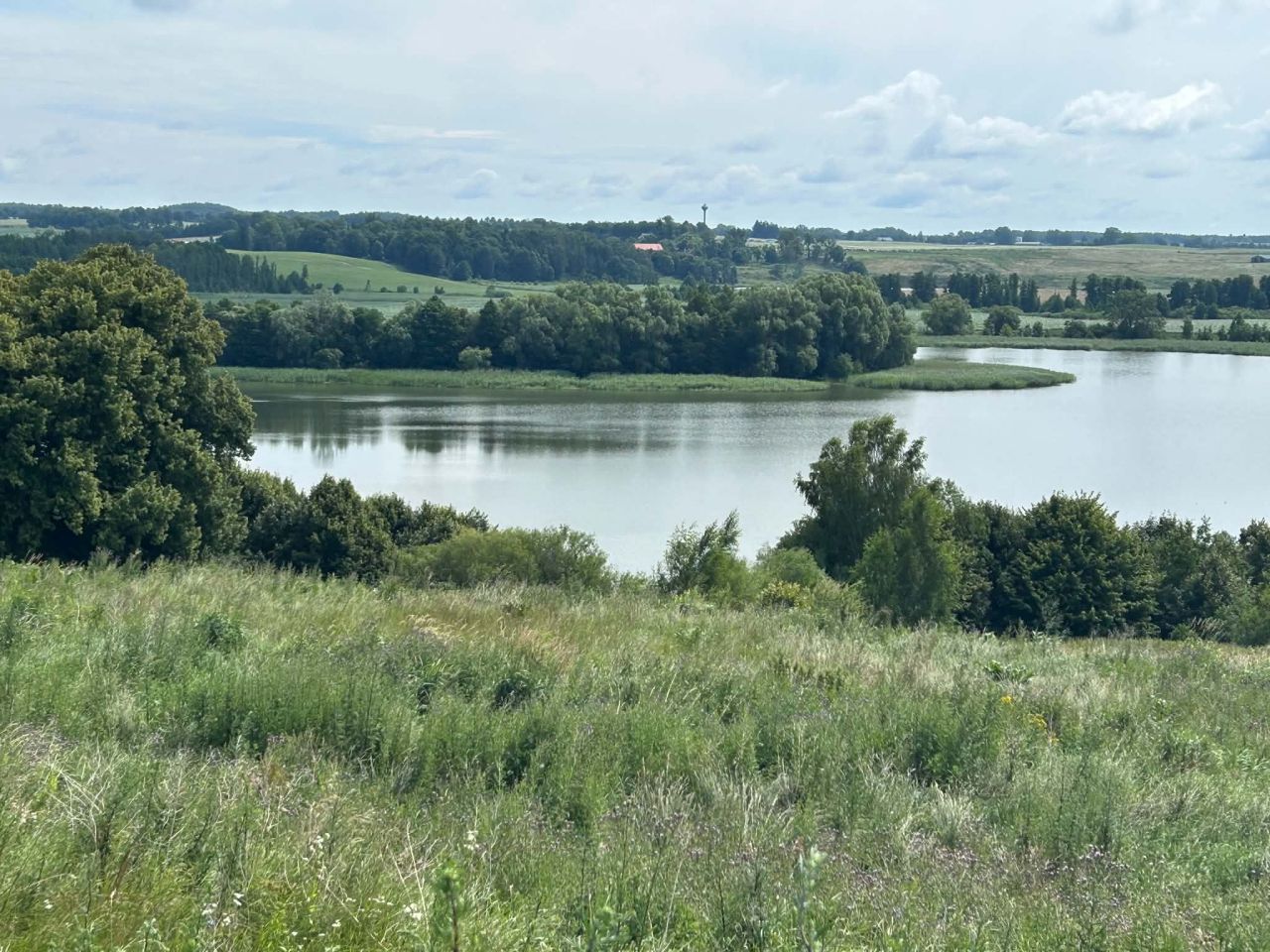 Działka budowlana Ruska Wieś, Ruska Wieś. Zdjęcie 14