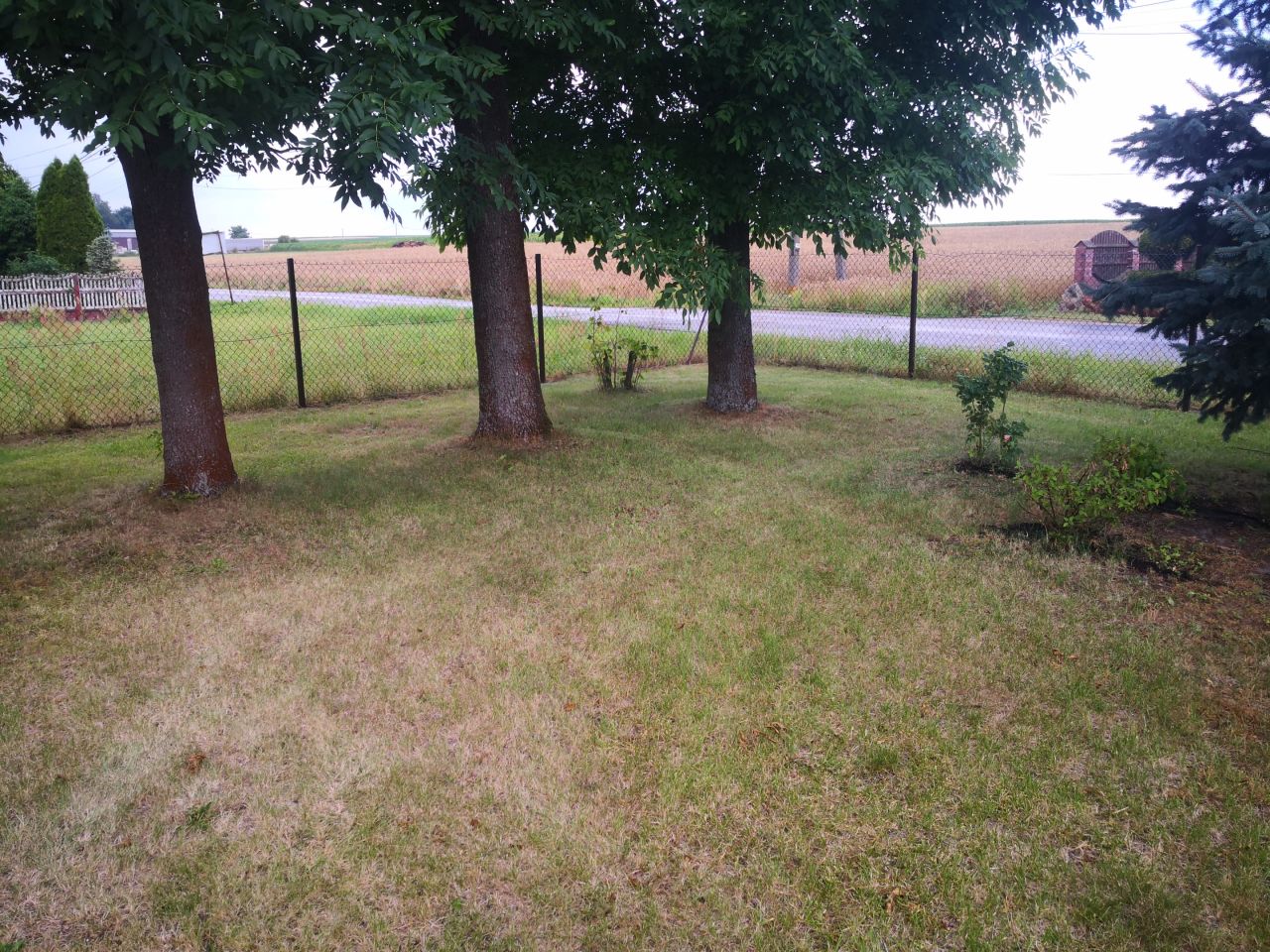 dom wolnostojący, 4 pokoje Małoszyce Przedmieście. Zdjęcie 6
