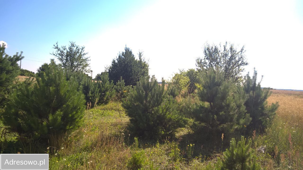 Działka budowlana Konotop. Zdjęcie 4