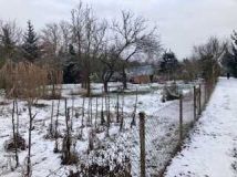 Działka rod Zielona Góra. Zdjęcie 2