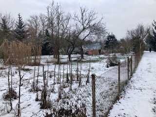 Działka rod Zielona Góra. Zdjęcie 3