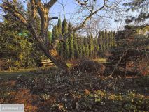 Działka rod Bielsko-Biała Kamienica. Zdjęcie 2