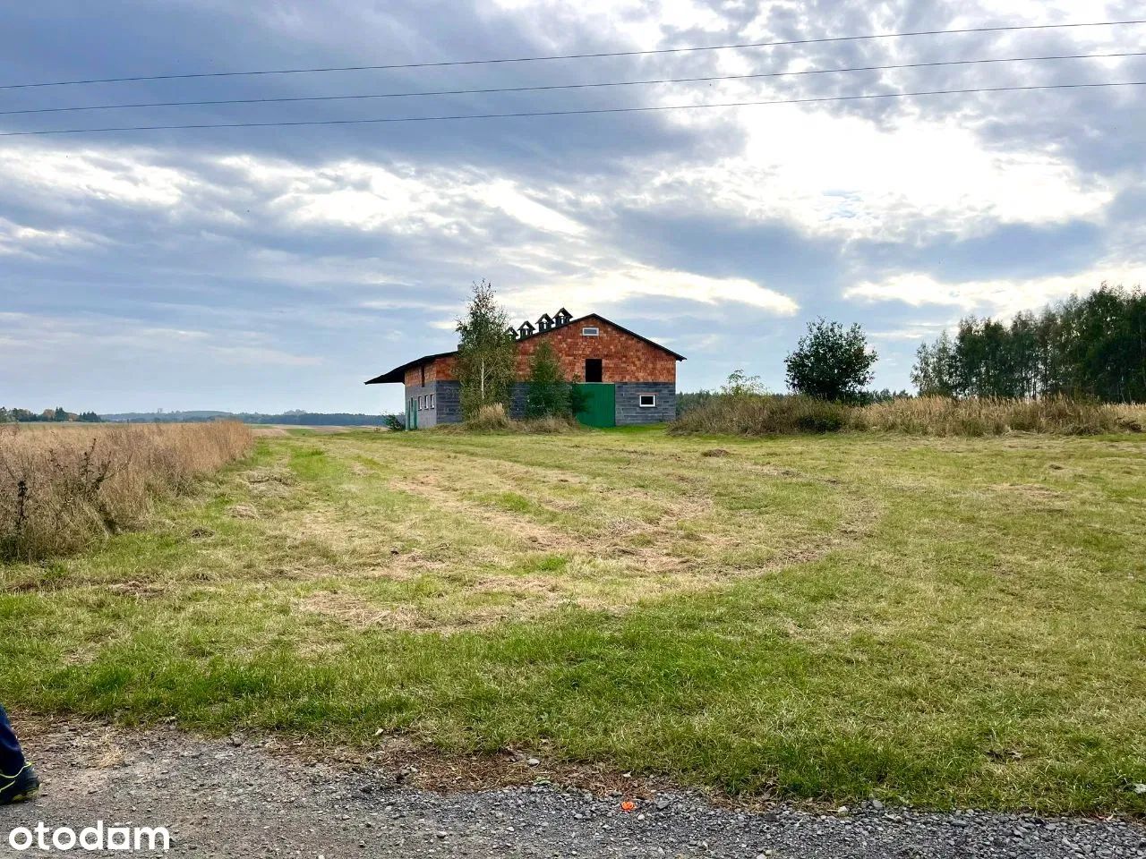 Hala/magazyn Rudniki. Zdjęcie 5