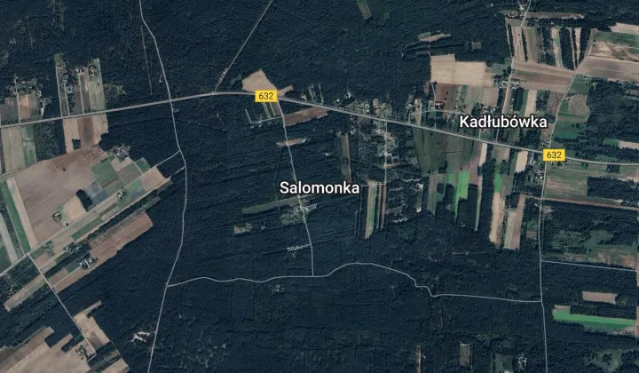 Działka leśna Salomonka