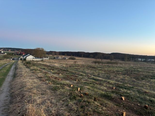 Działka budowlana Zabierzewo. Zdjęcie 1