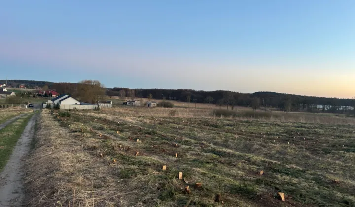 Działka budowlana Zabierzewo