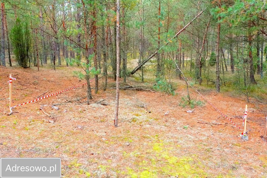 Działka leśna Zielona Chocina. Zdjęcie 11
