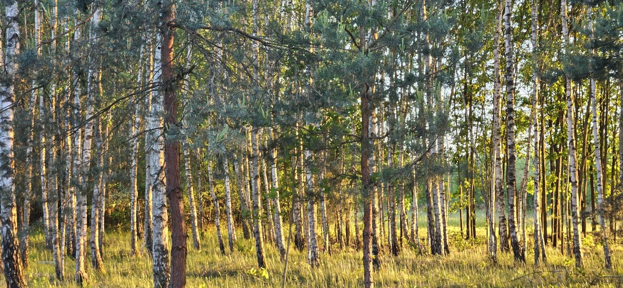 Działka budowlana Łukawska Wola. Zdjęcie 2