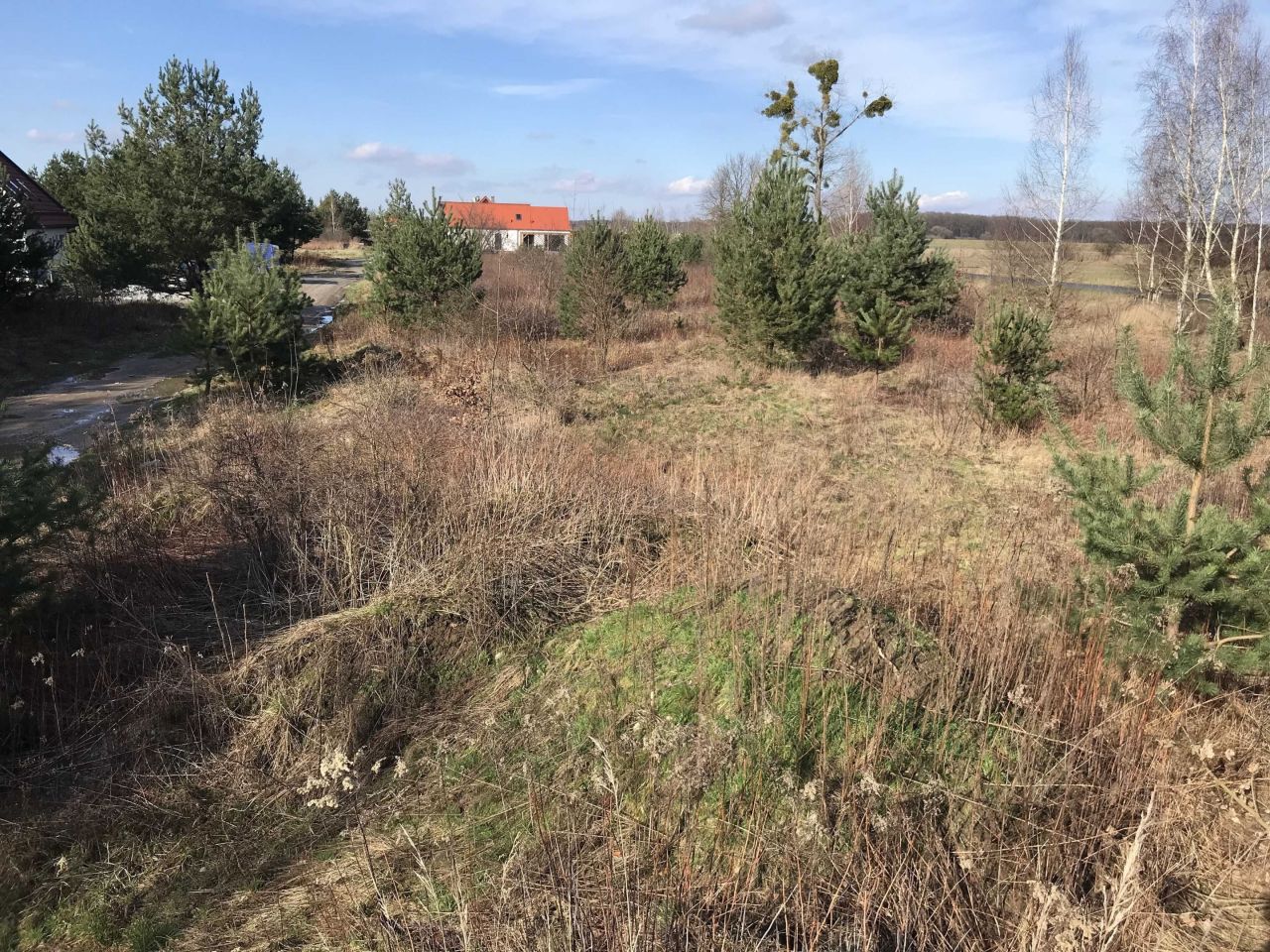 Działka budowlana Siedlce. Zdjęcie 1