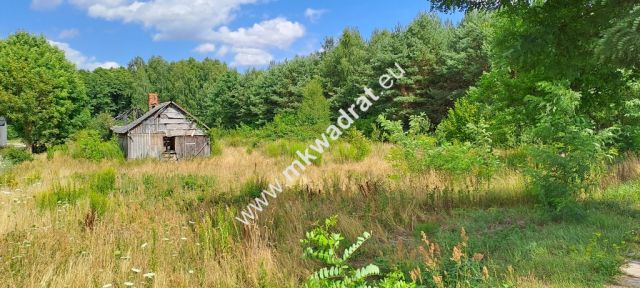 Działka siedliskowa Zimna Woda. Zdjęcie 6