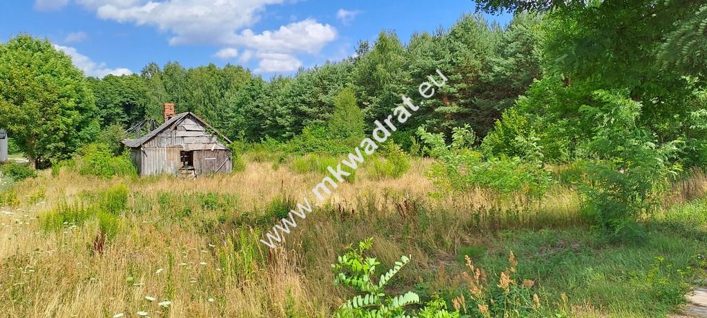 Działka siedliskowa Zimna Woda. Zdjęcie 6